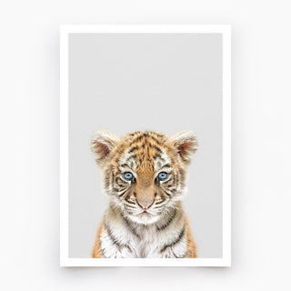 Tiger Cub Art Print