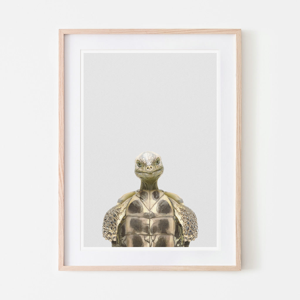 an art print of a tortoise