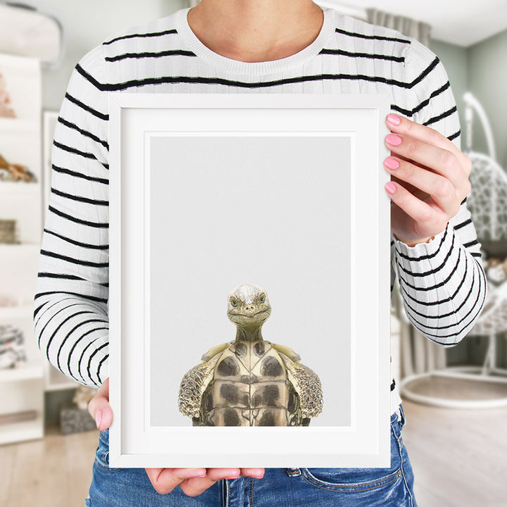 tortoise nursery decor 