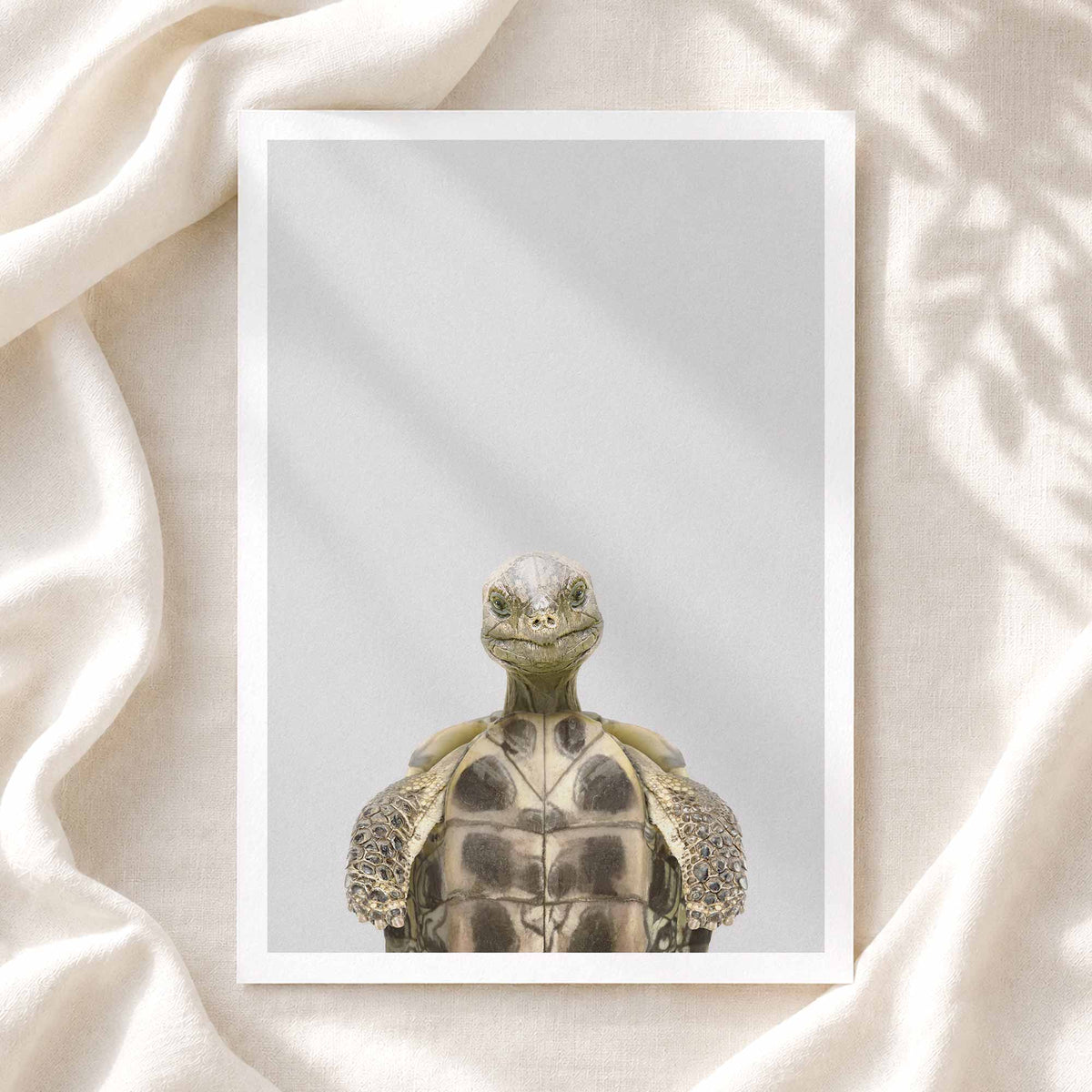 Tortoise - Nursery Animal Print