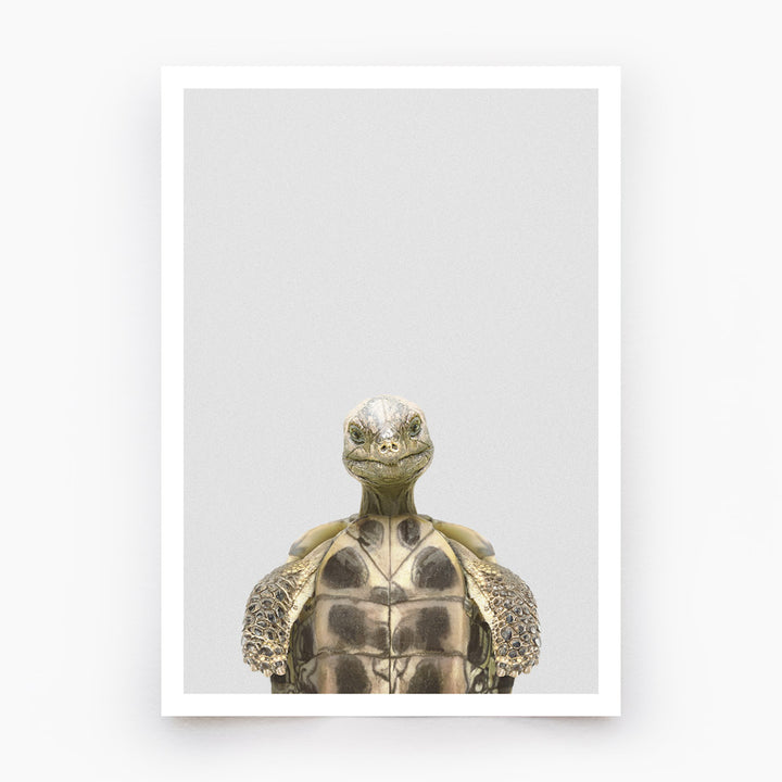 Tortoise Art Print