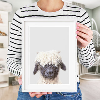 black nose sheep wall art