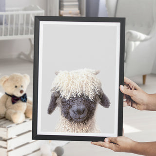 nursery animal prints black nose sheep