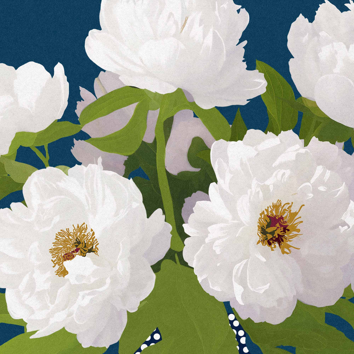 White Peonies – Modern Floral Art Print