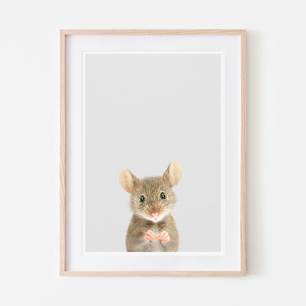 an art print of a wood mouse