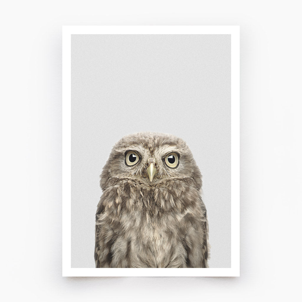 Woodland Owl Art Print