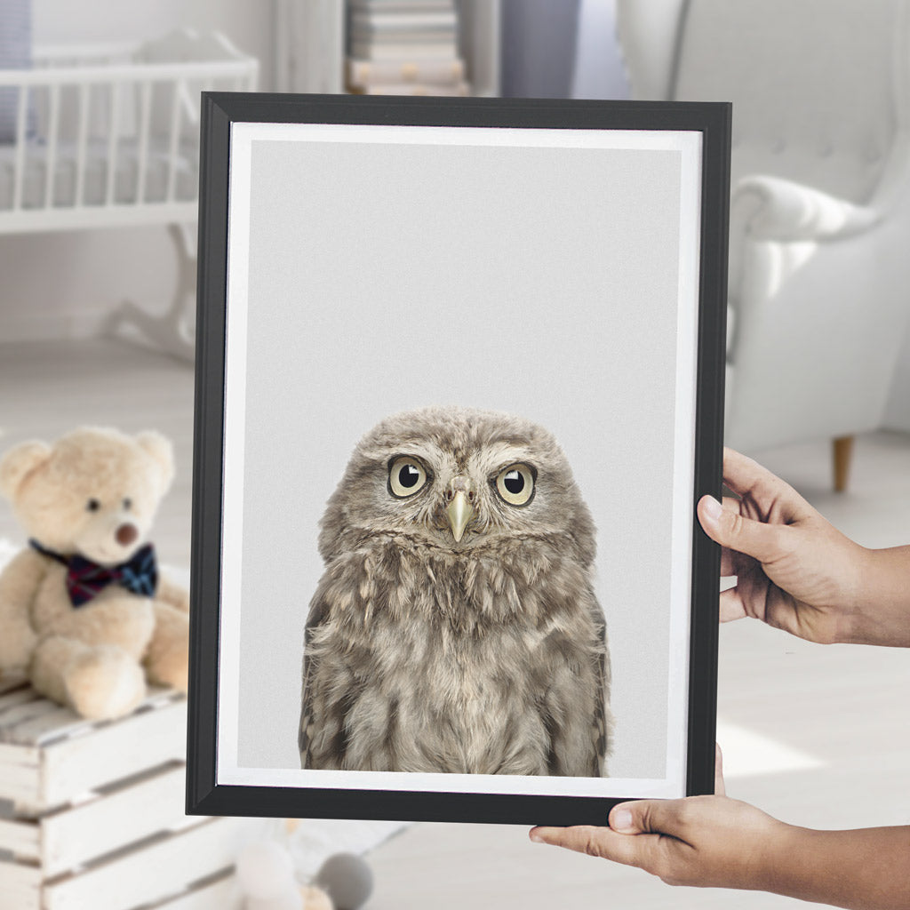 Woodland Owl Art Print