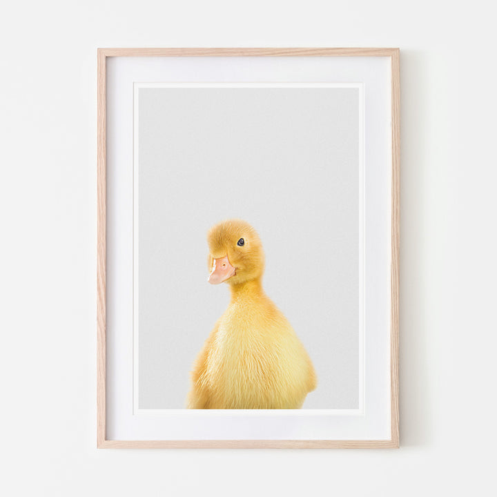an art print of a yellow duckling