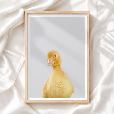 Duckling Nursery Print - Sweet Farmyard Bird Artwork for Baby Rooms