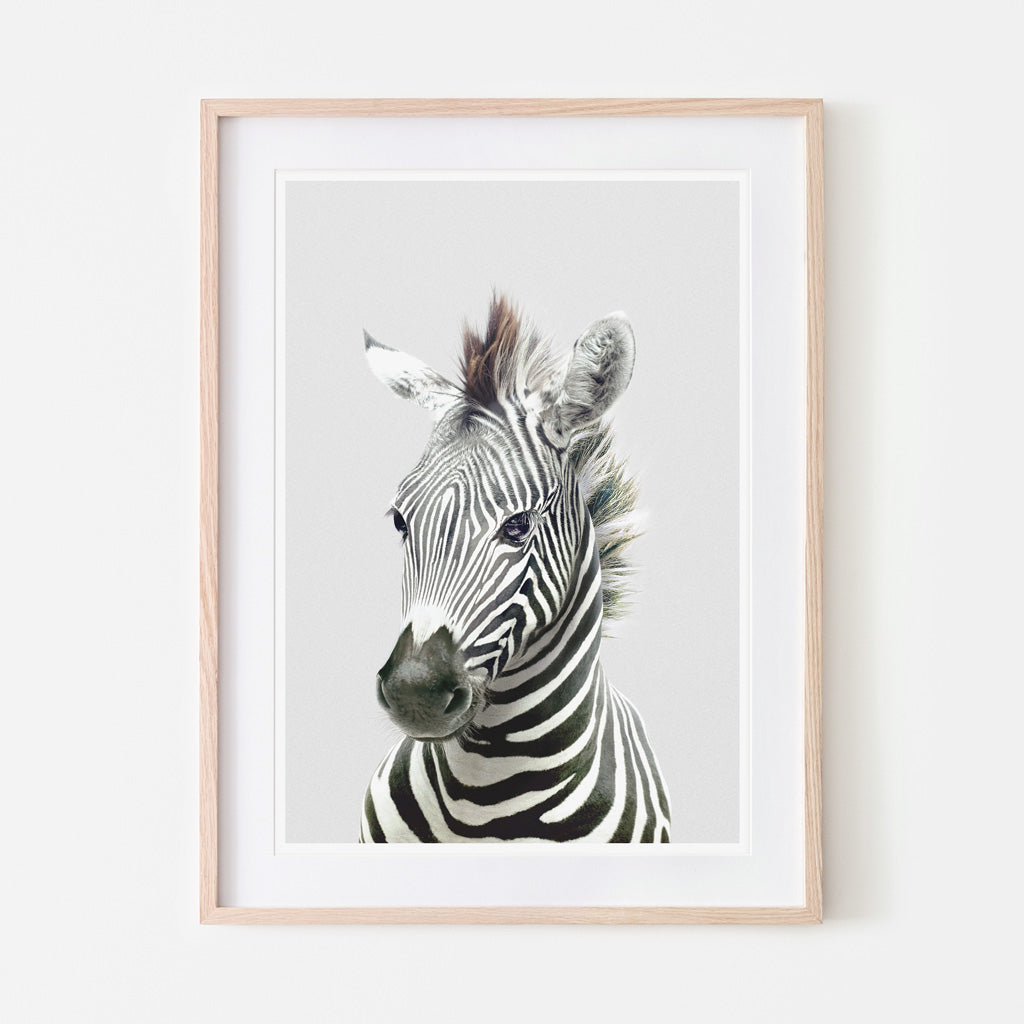 an art print of a zebra