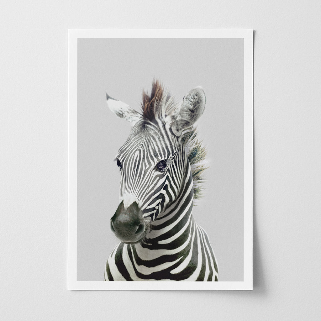 Zebra Nursery Print - Striped Safari Animal Artwork for Baby Rooms