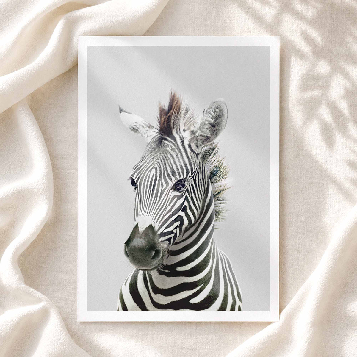 Zebra - Nursery Animal Print
